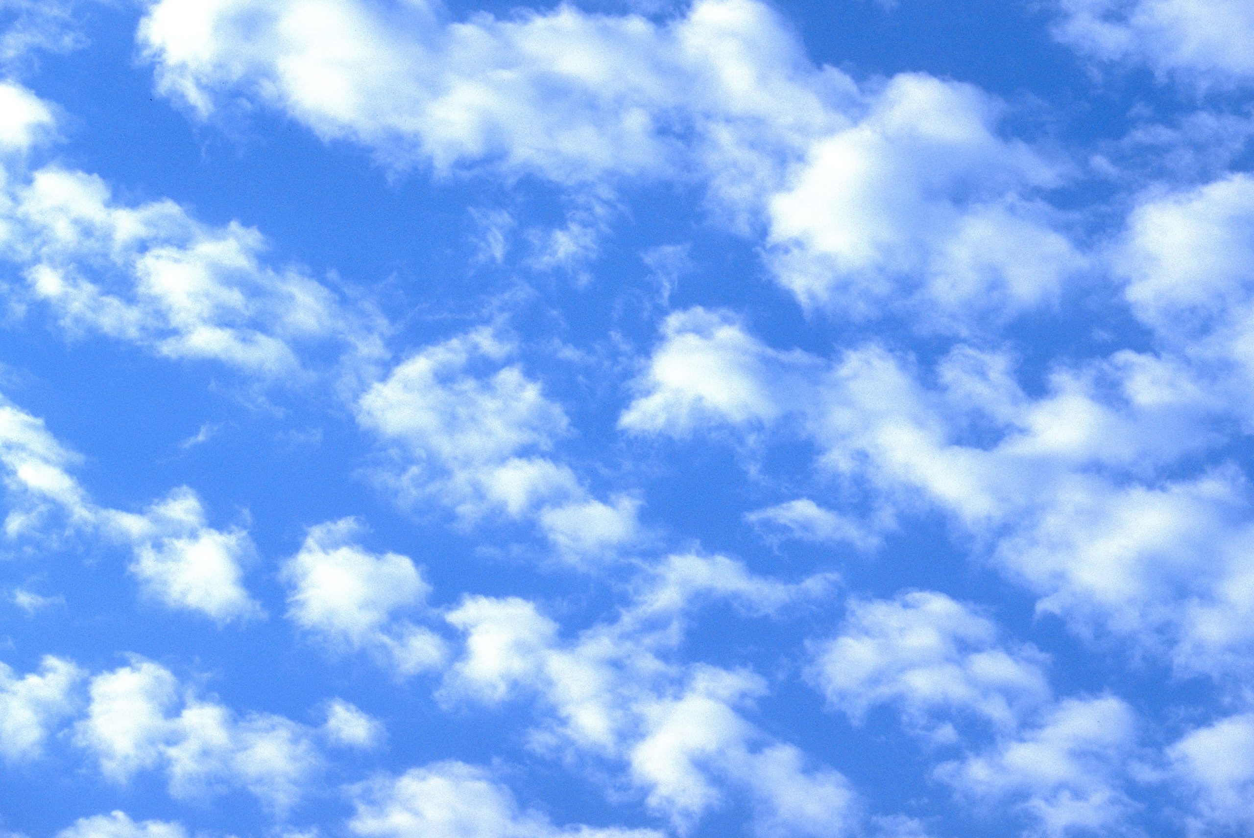 Cloud Based And Peer To Peer Meetings