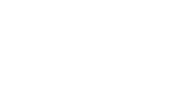 Ally Financial