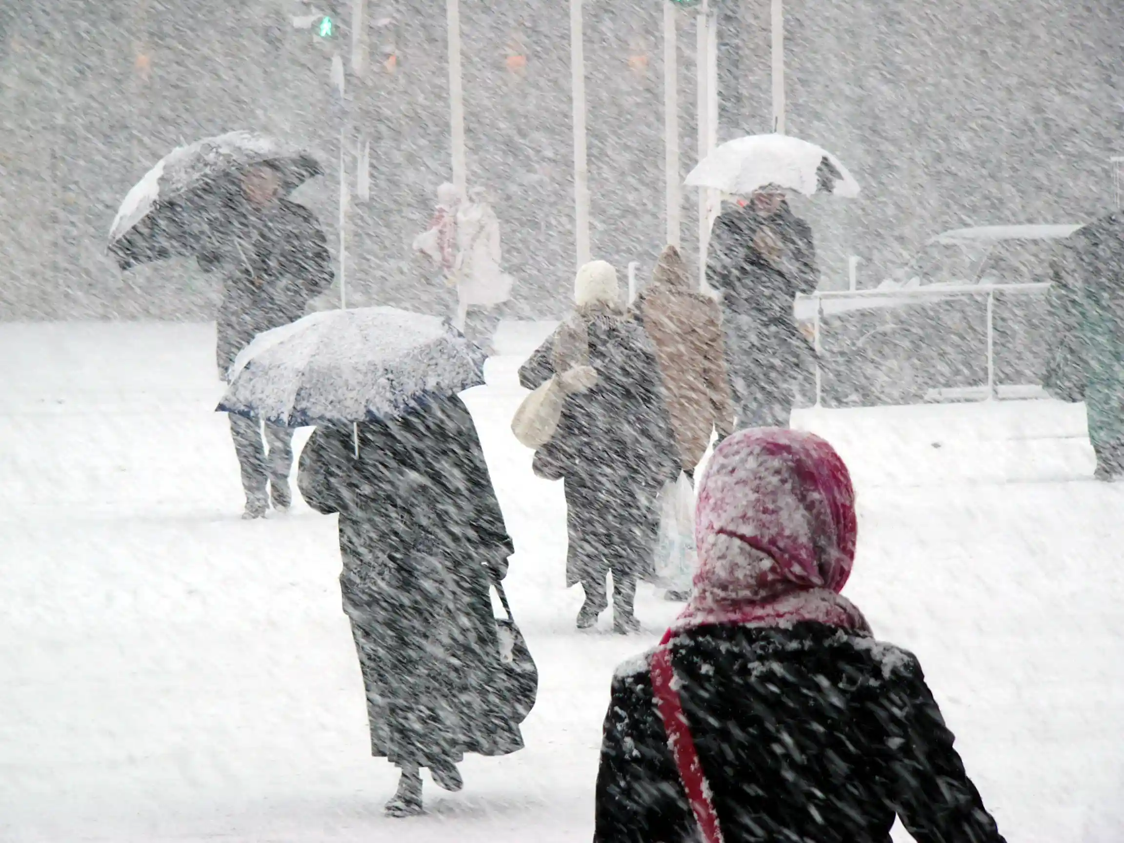Zoom - snowstorm