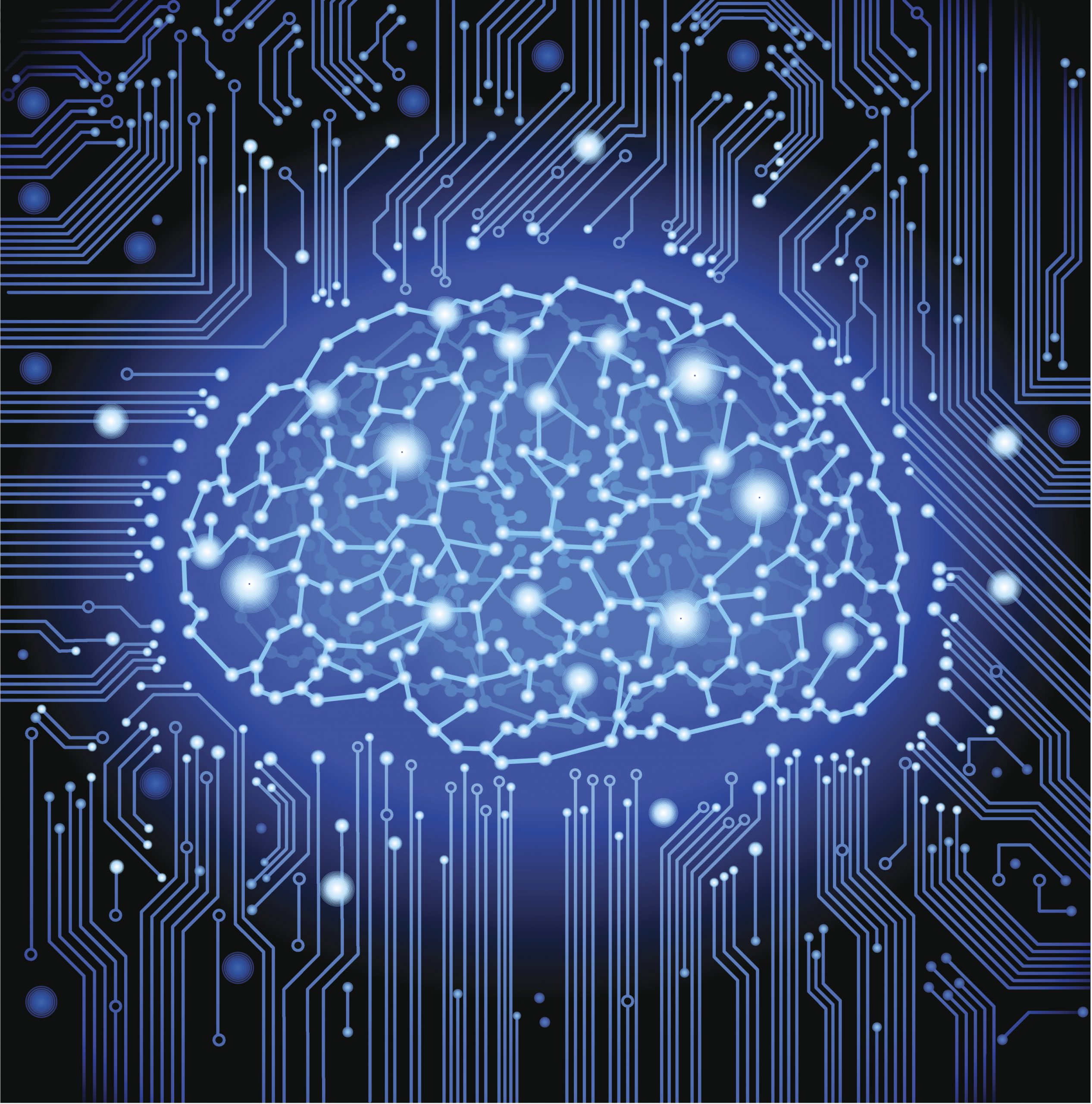 Zoom - brain