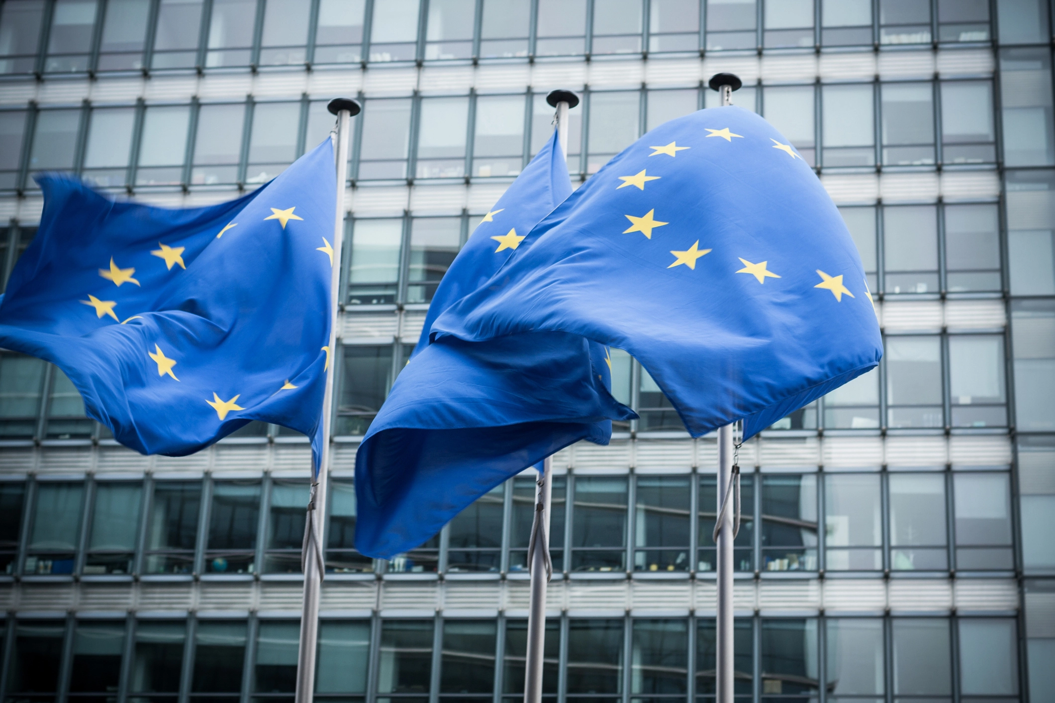 Zoom maakt zicht sterk voor privacy in Europa