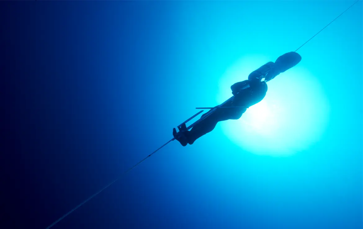 From 50 metres to 100: What a freedive record teaches us about organisational velocity