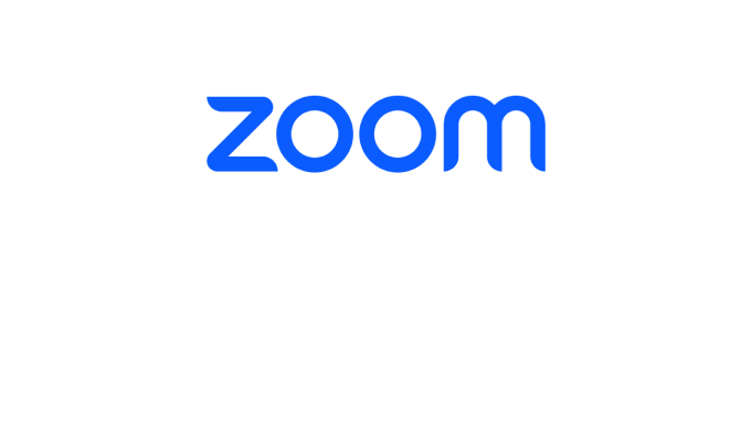zoom one logo