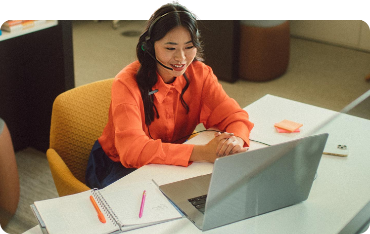 IT Professionals solution details