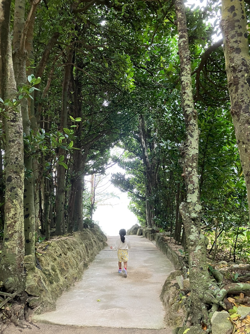 Kyoto walk