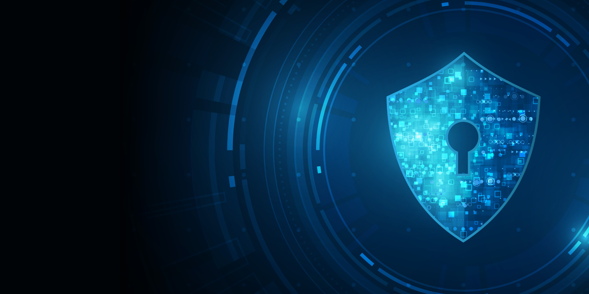 90 Day Security Plan Progress Report: June 24