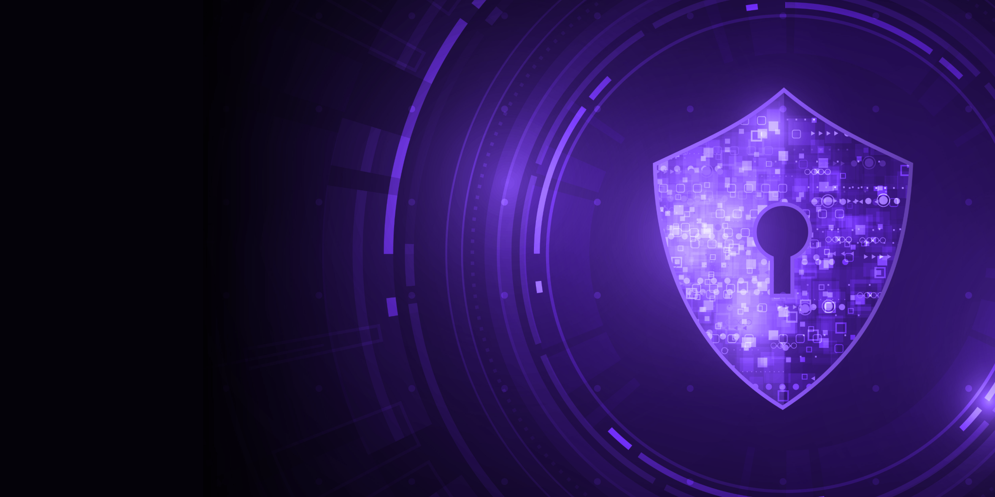 90 Day Security Plan Progress Report: June 17