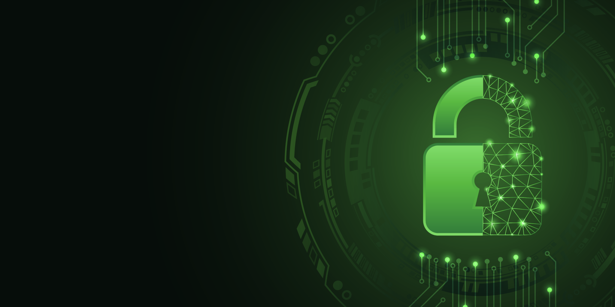 90 Day Security Plan Progress Report: June 10