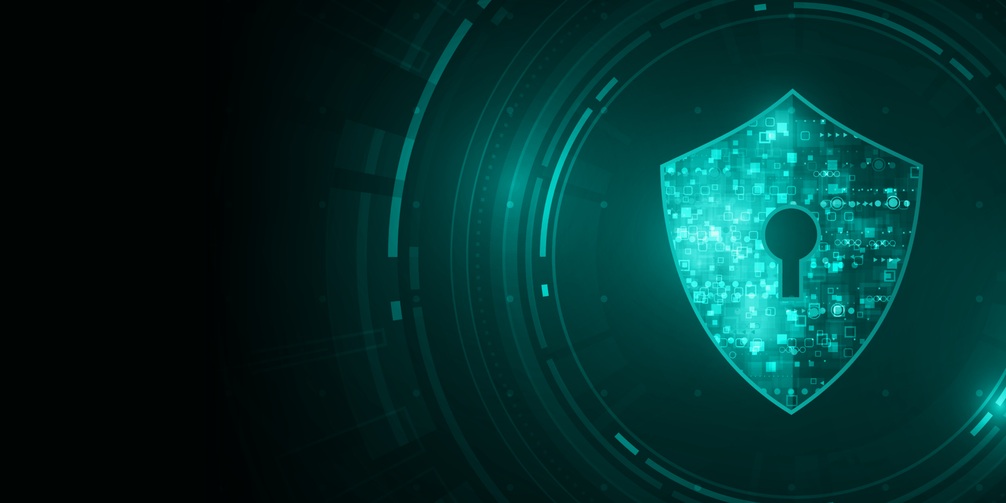 90-Day Security Plan Progress Report: June 3