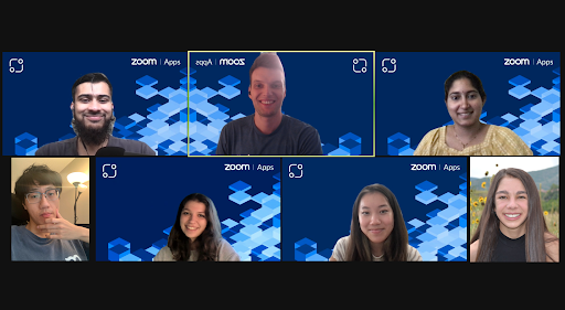 Zoom Interns