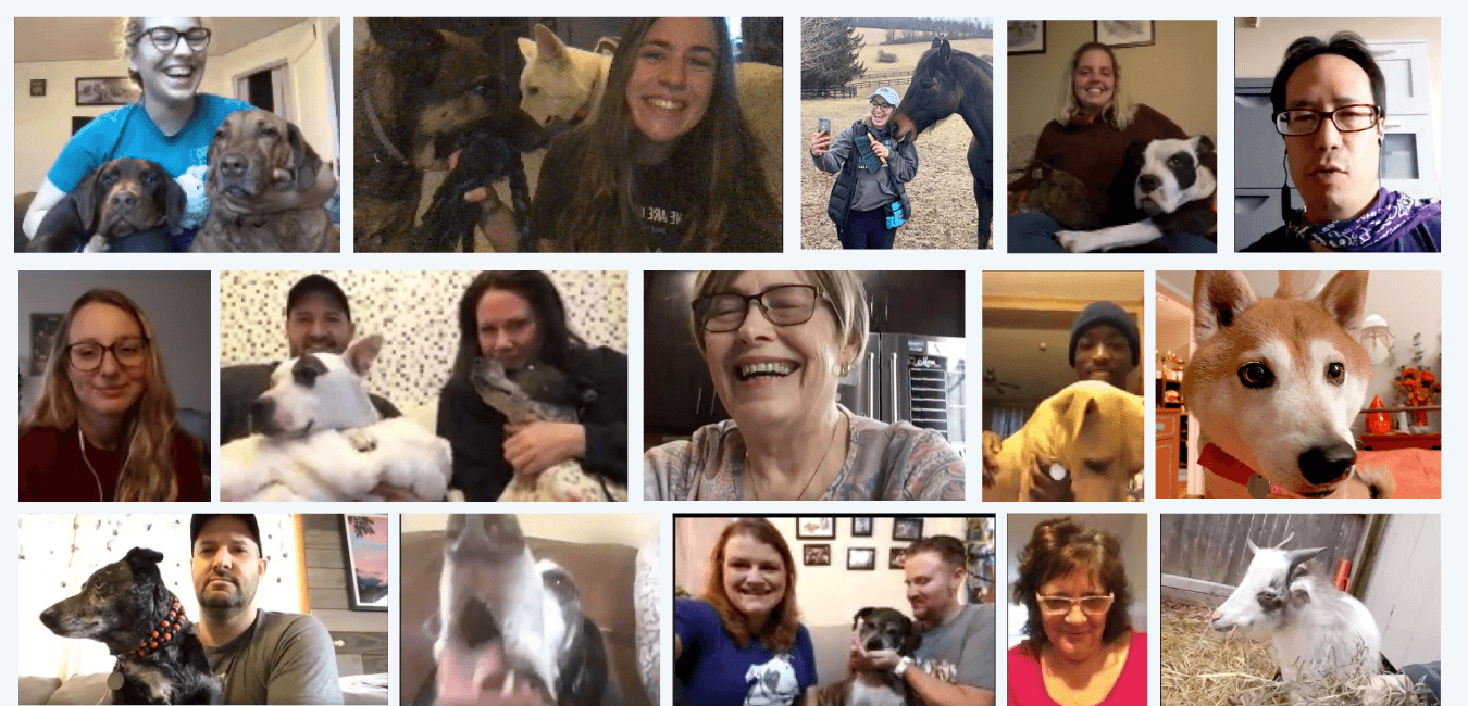 Animal Farm Foundation's "Pets Together" program