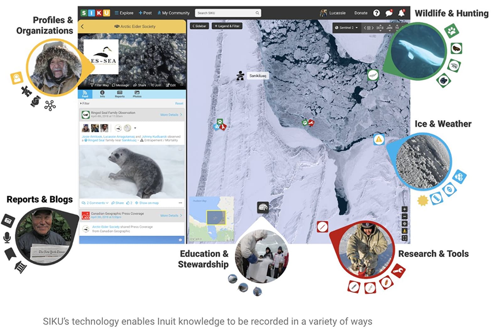 Arctic Eider Society