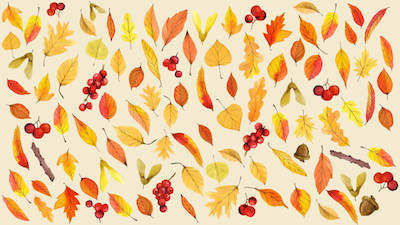 Autumn leaves