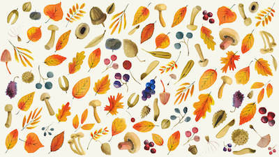 Autumn