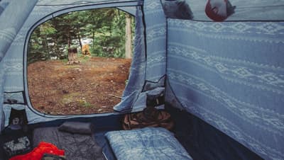 Image of a tent