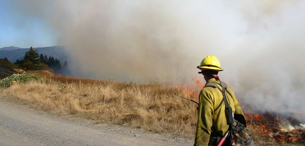 California Wildfires Winter 2025