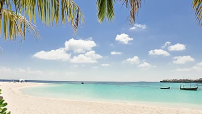 Image of a beach
