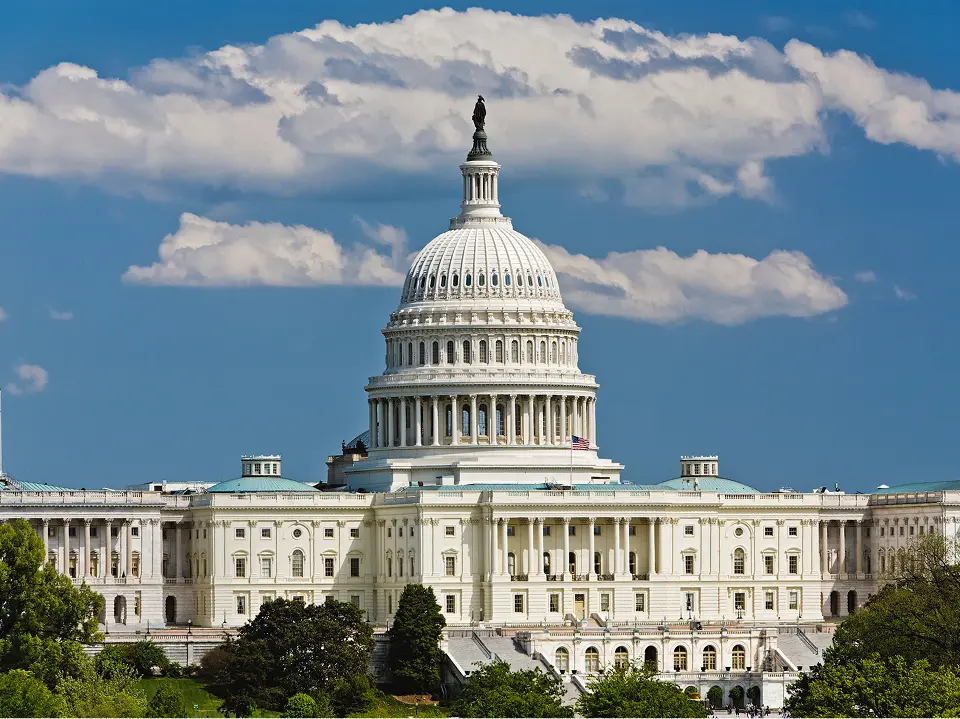 노트북으로 작업하는 여성