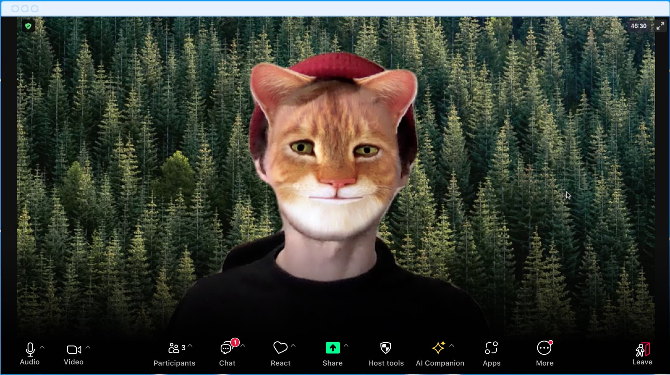 Zoom 通話で顔を猫にしている男性