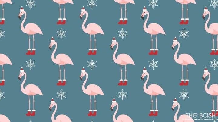 Image of flamingo's in Christmas outfits