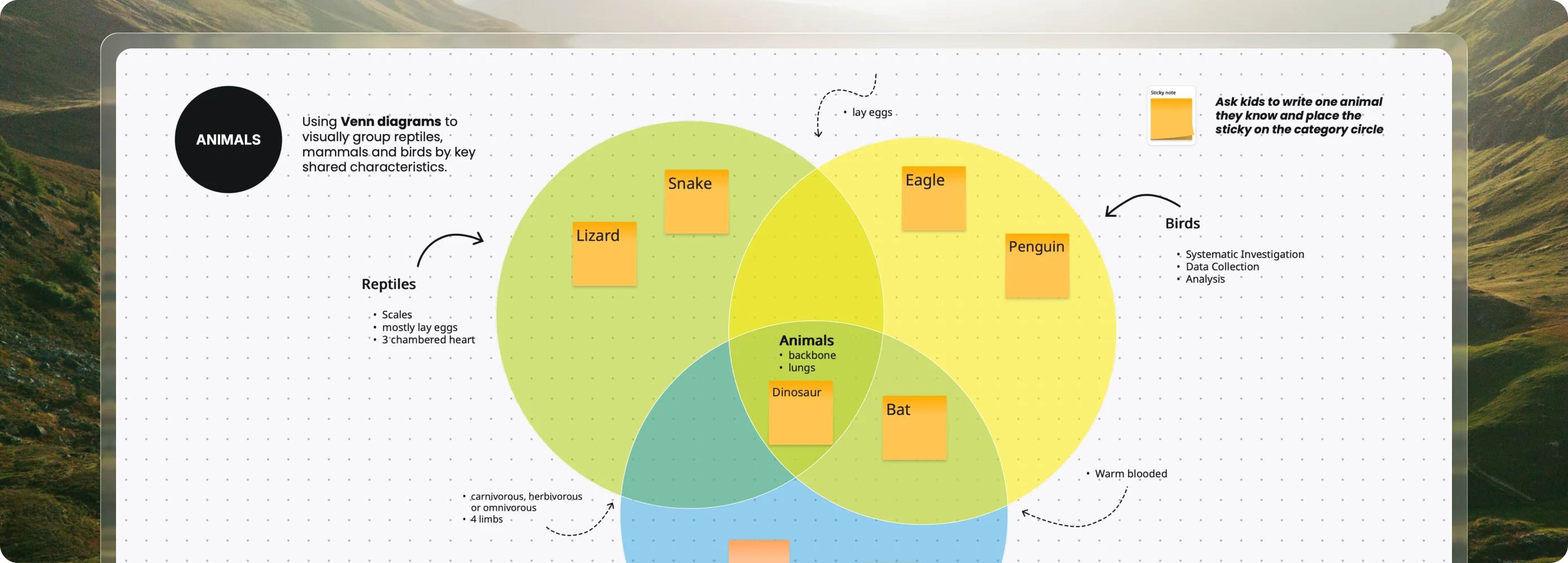 Turn lessons into collaborations with a digital whiteboard