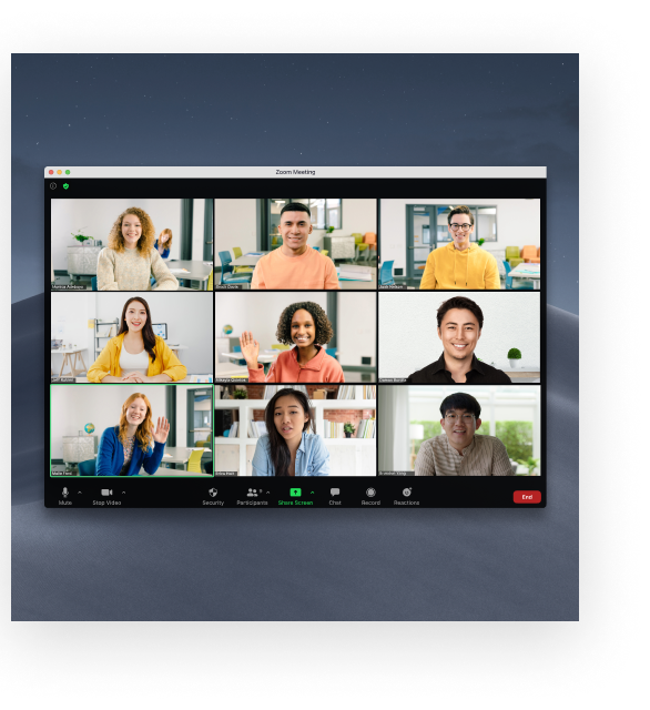 Team on Zoom video chat
