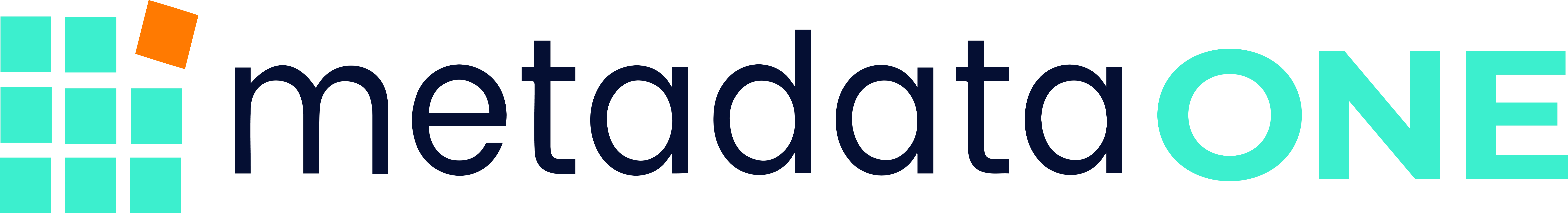 Metadata logo