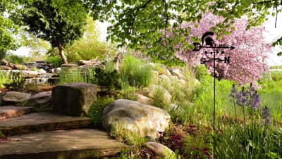 Image of plants and flowers