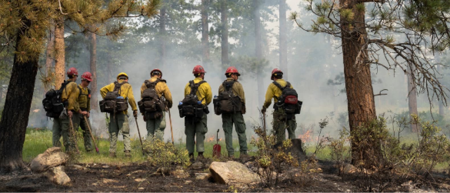 National Forest Foundation