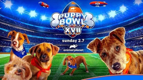 Puppy Bowl 2021 background
