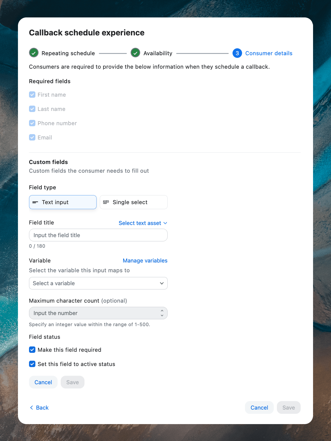 Scheduled Callback Enhancements: Custom Fields