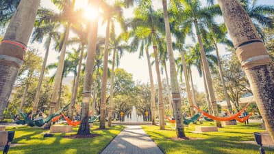 Image of University of Miami campus