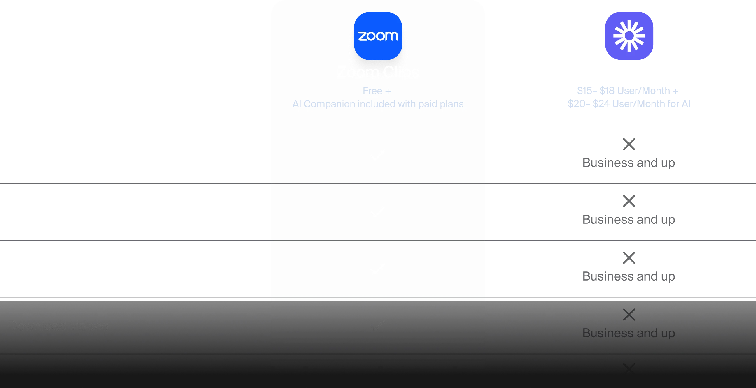 Zoom vs. Loom